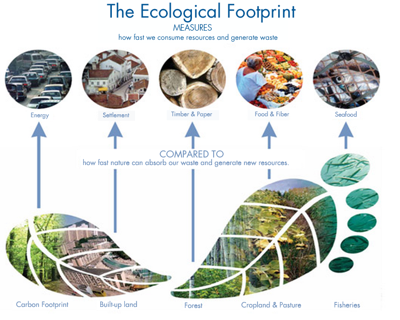 impronta ecologica