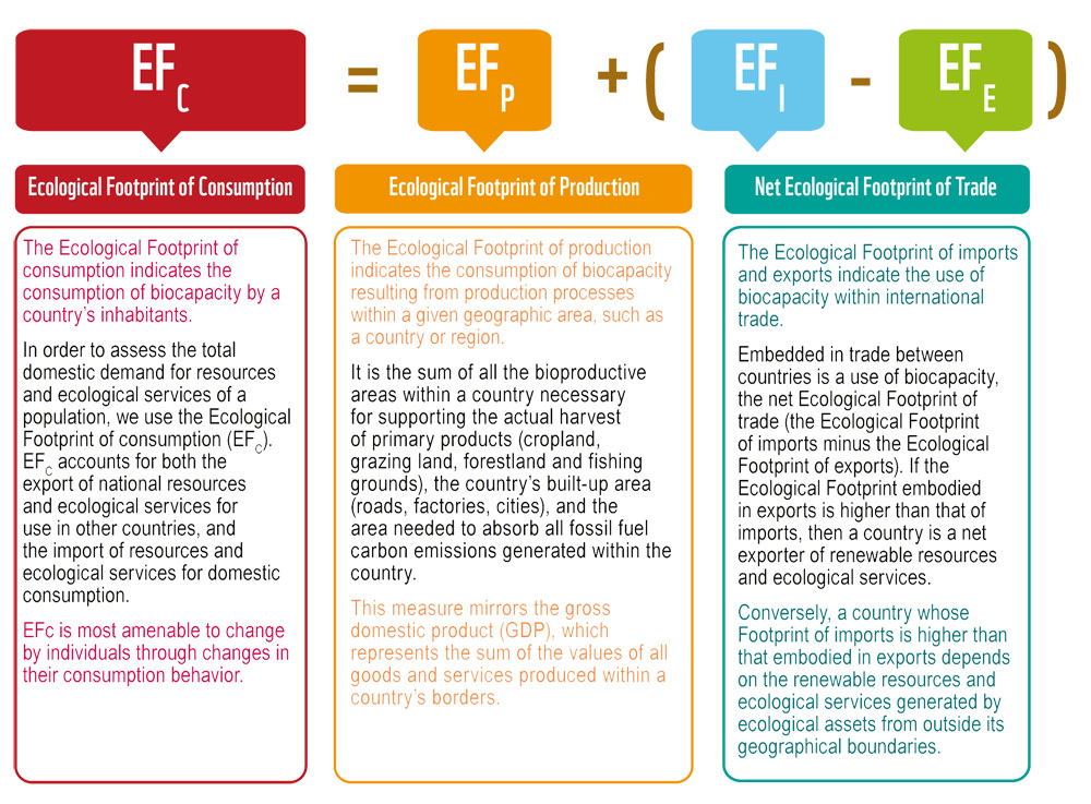 Ecological Footprint of Consumption graphic