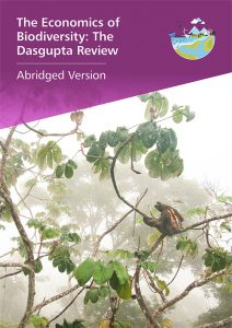 report cover Dasgupta Review abridged version