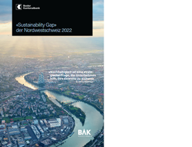 Bak basel sustainability gap report cover