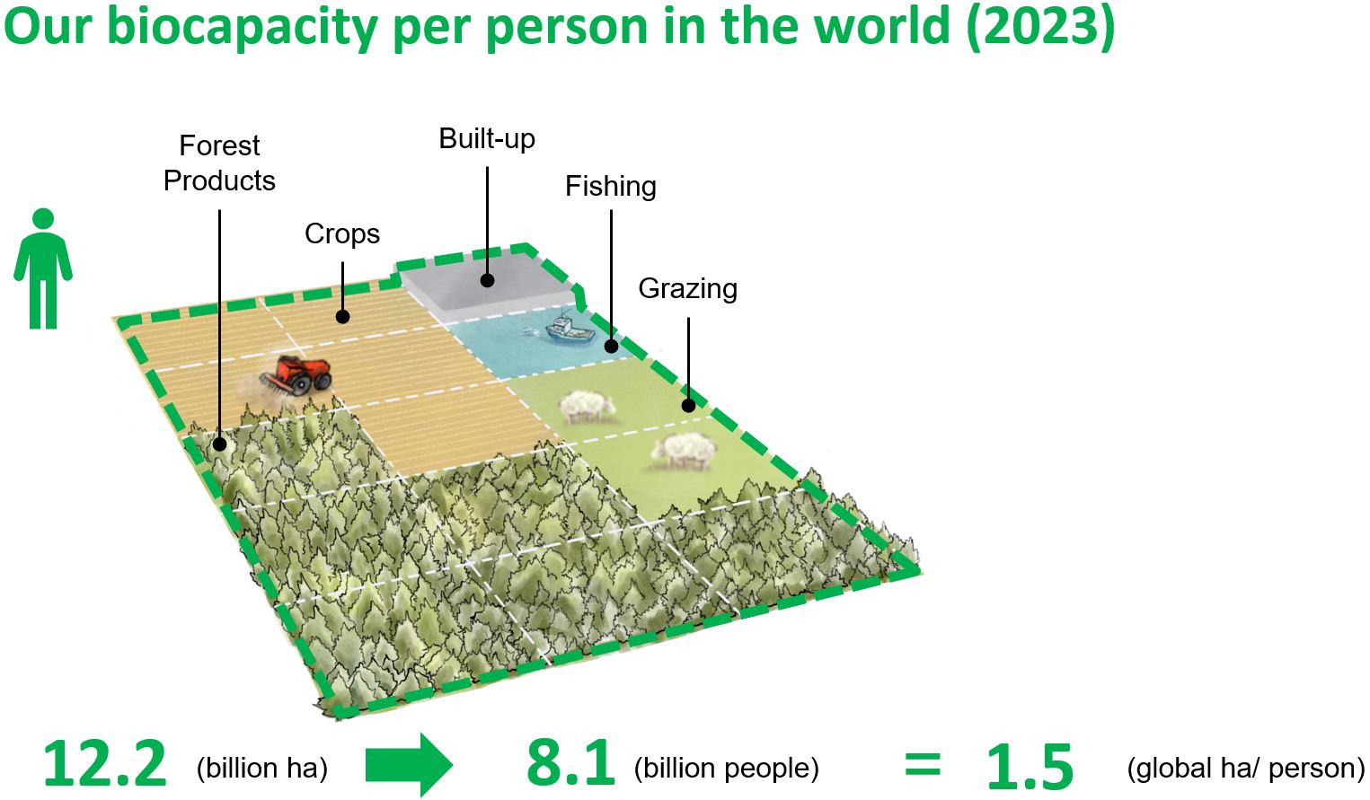 Given the population size, there is now 1.5 global hectares of biocapacity per person on our planet