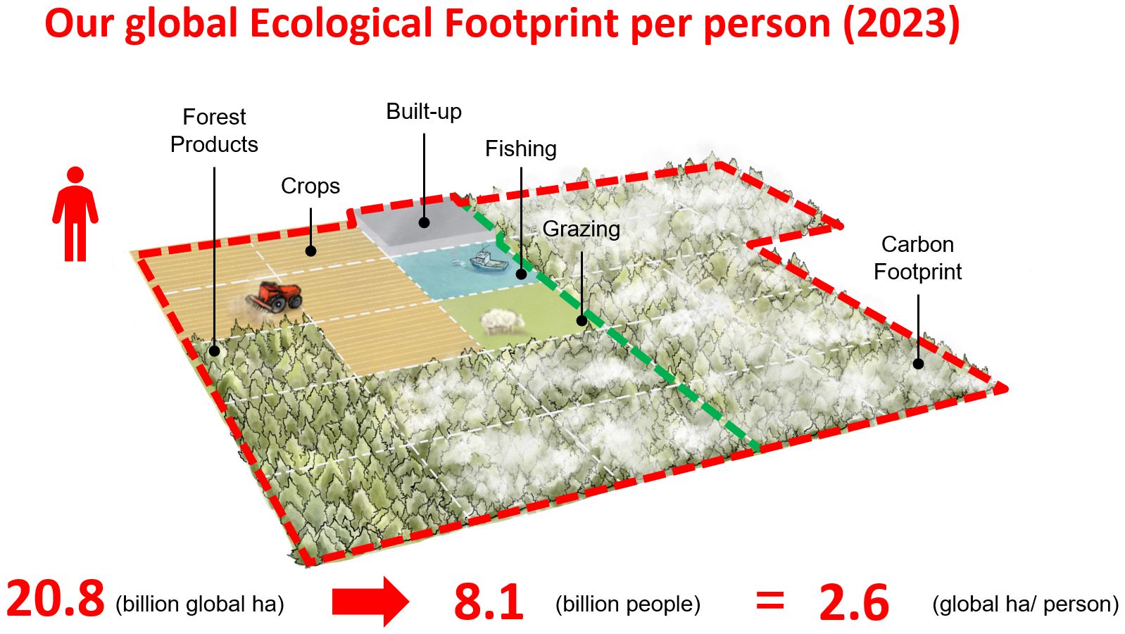 The Ecological Footprint represents the biologically productive space needed to regenerate what is being consumed.